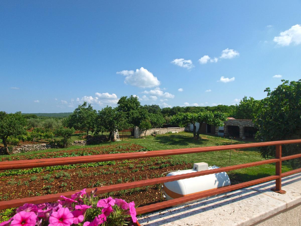 Apartments Mirjana 1655 坎法奈尔 外观 照片